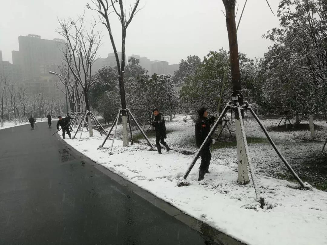 日产中文乱码字幕无线观看
